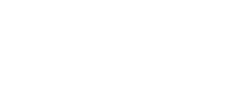 Technische Universität Dresden